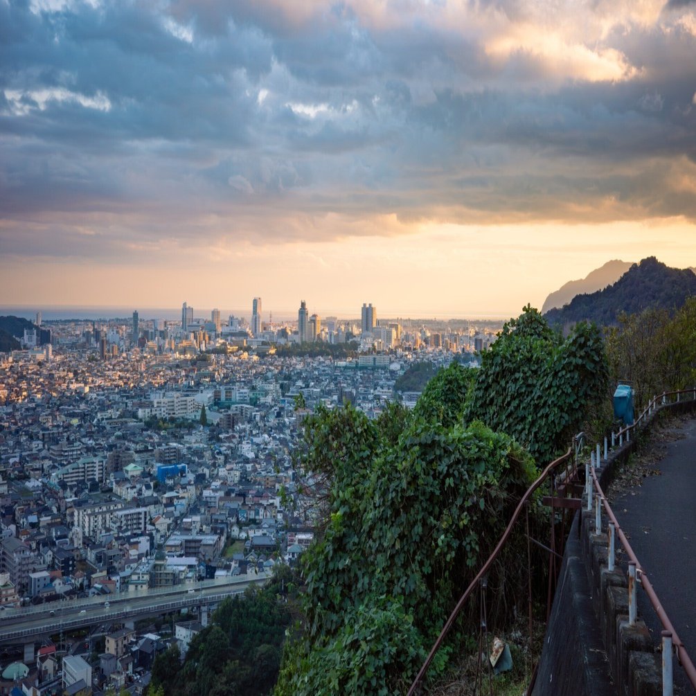 エモいの向こう側へ、行く。ーみかん栽培がつくる文化的景観ー｜阪口