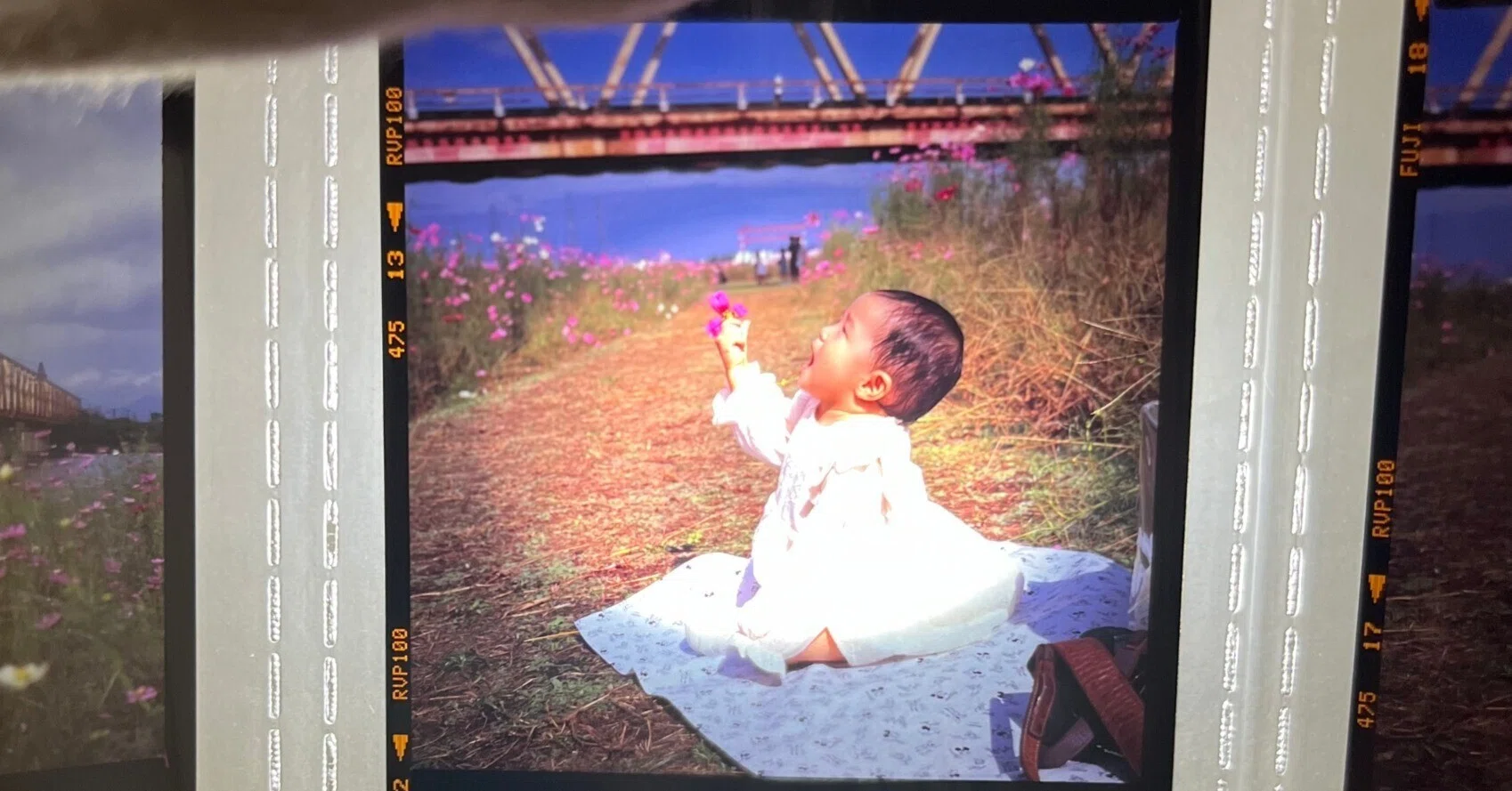 Velvia100】10年期限切れベルビア100は写るのか?|RURI Velvia100】10年期限切れベルビア100は写るのか?|RURI
