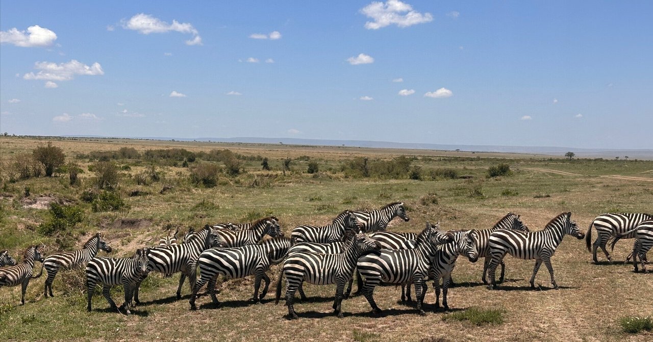 珍しい額　アフリカマサイ bogolanmarket_masai-m