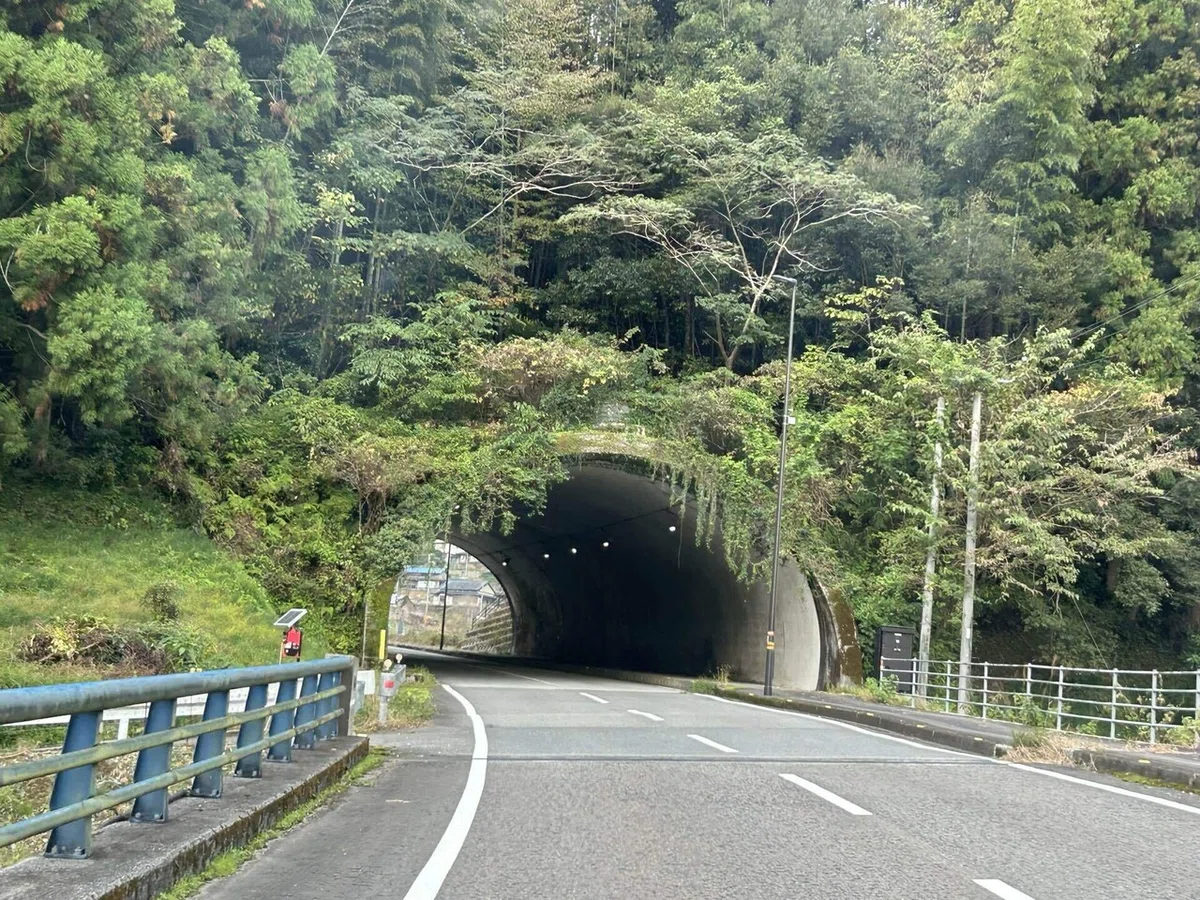 つたが茂ったトンネル