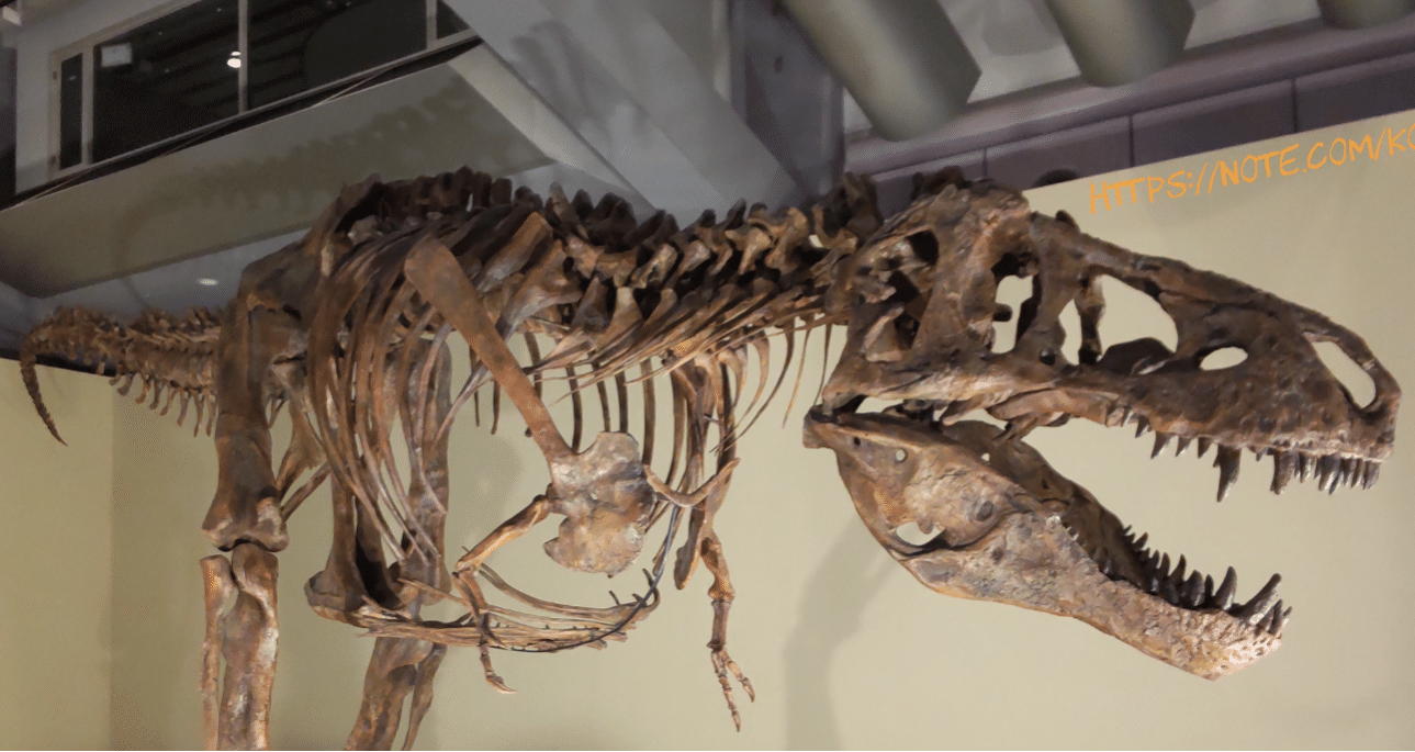 超獣戦隊武装恐竜 消しゴム ティラノサウルス レトロ レア クロス