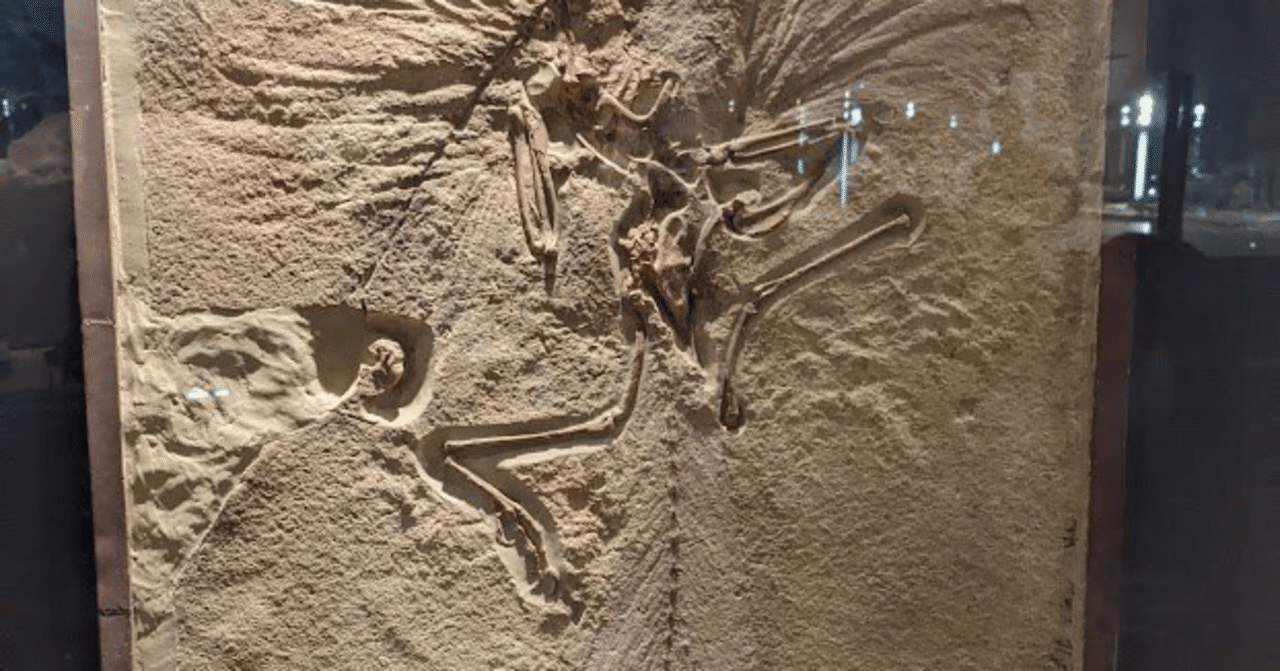 実は 恐竜の生き残り (貴重なアーカイブ) です。。。と か げ