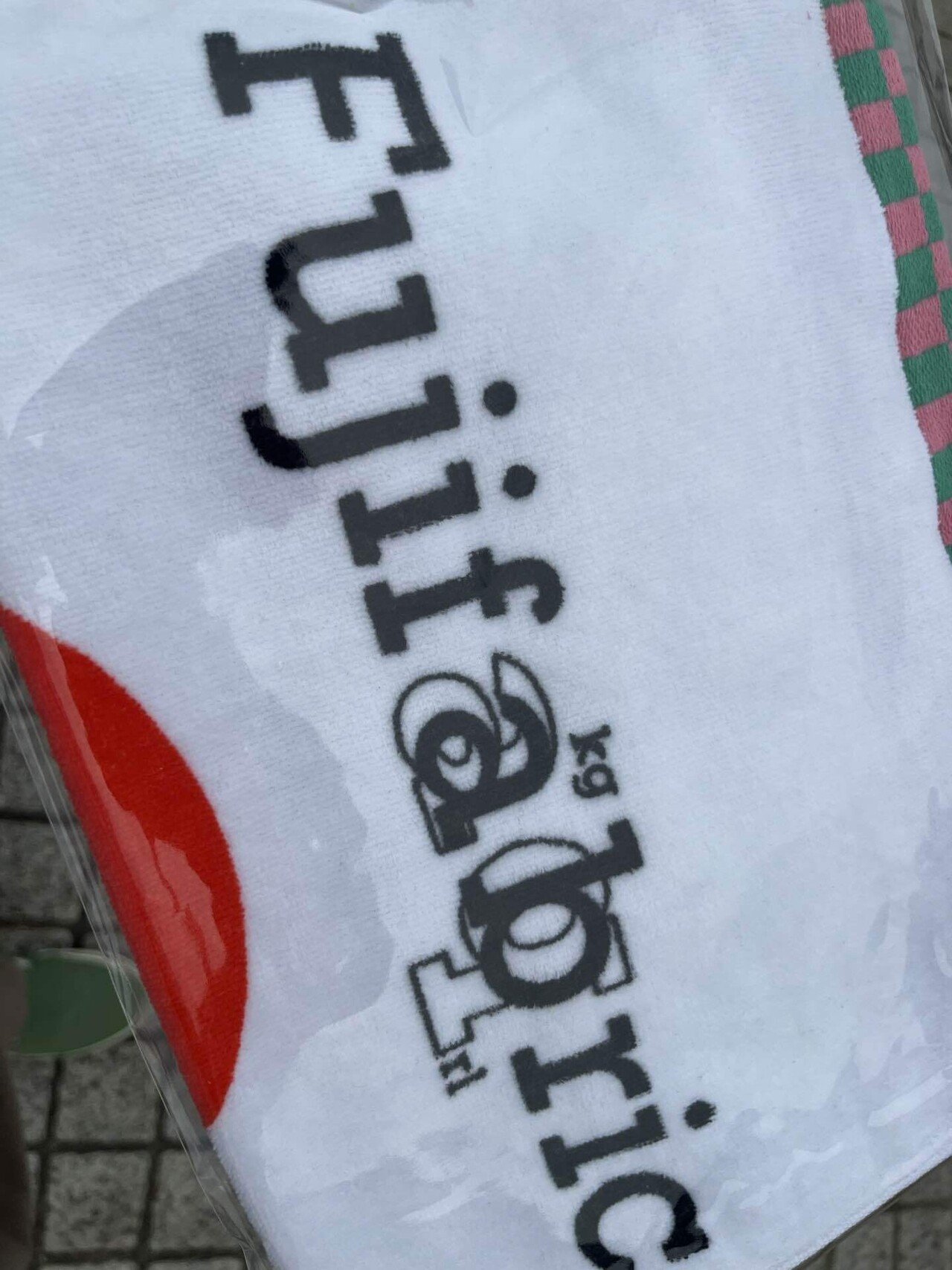 フジファブリック FAB BOOK 東京、音楽、ロックンロール 志村正彦 フジファブリック 初版