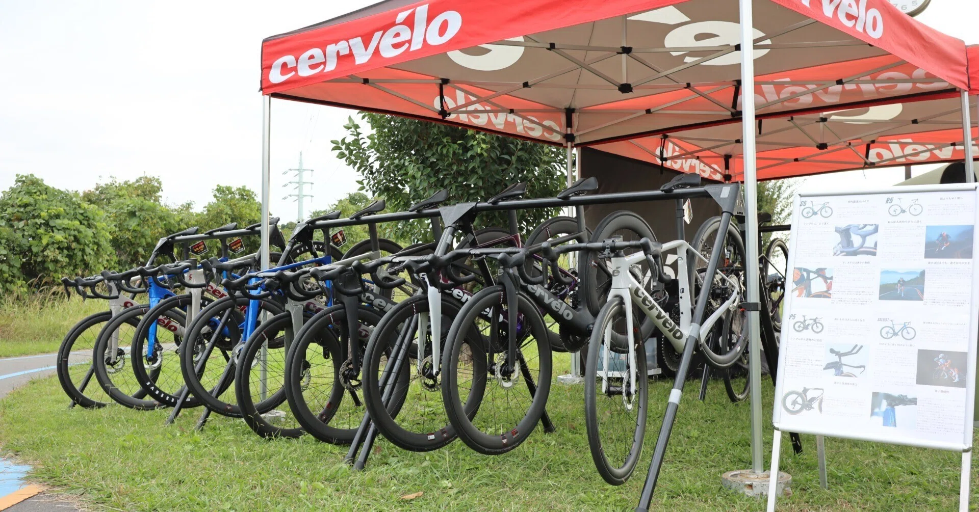 店頭在庫限定 クリアランスセール』Cervelo S5 DISC フレームセット