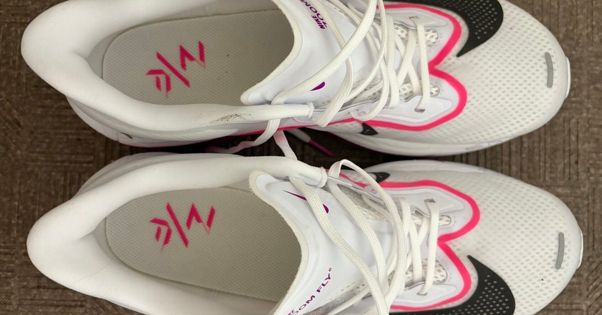 シューズレビュー】NIKE ズームフライ6｜ケンジロウ