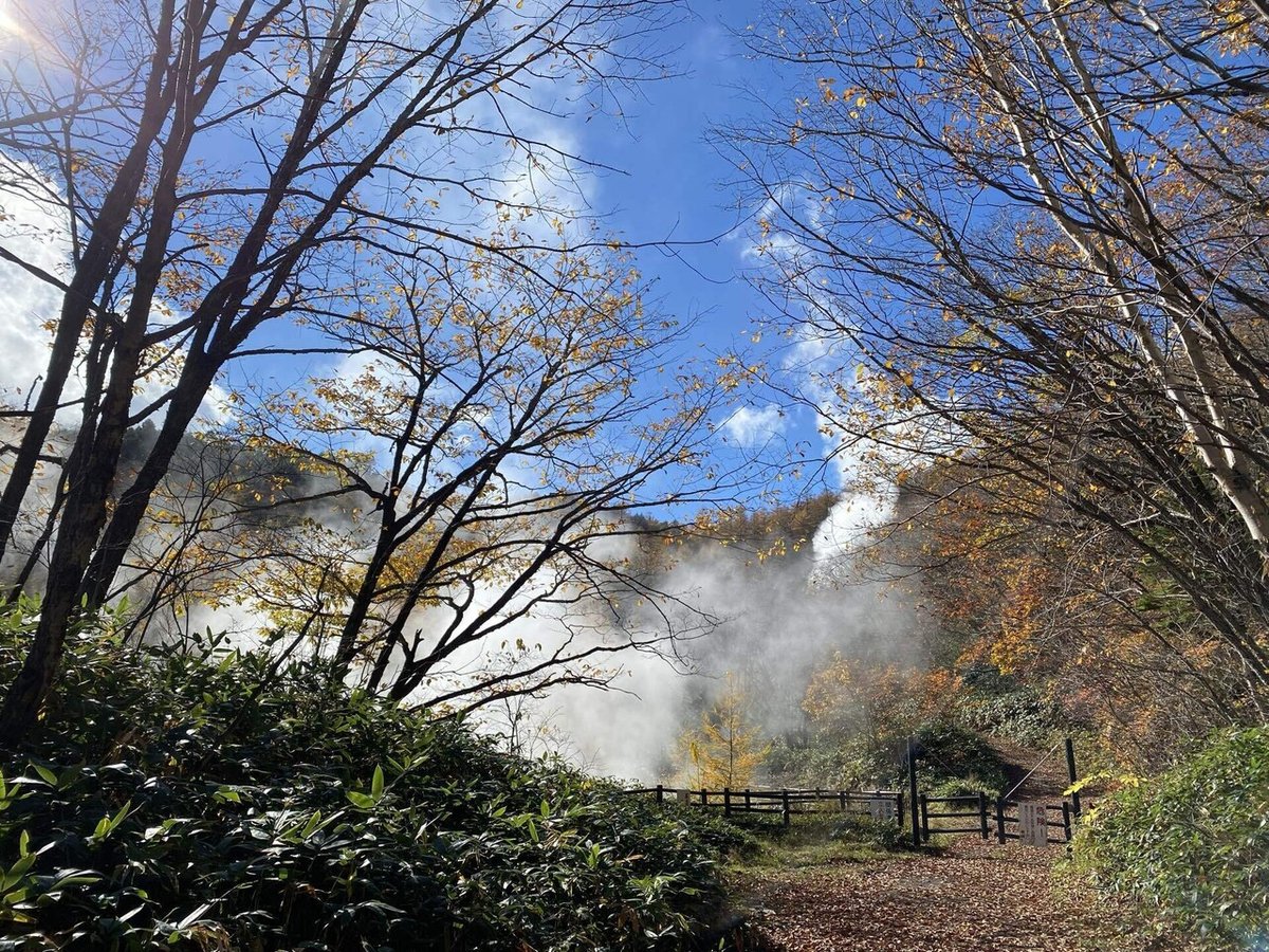 山道に湯気が上がっている写真