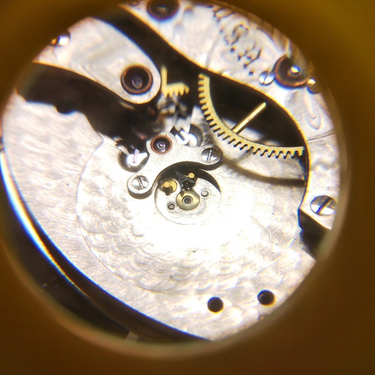 ウォルサムコロニアルＢ薄型12サイズ懐中時計のオーバーホール(分解編 