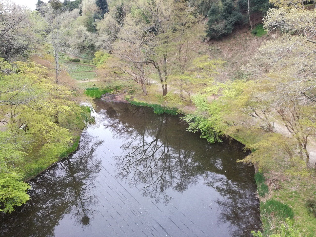 明日できることは今日やらない かみや けいじ Note 明日できることは今日やらない かみや けいじ Note