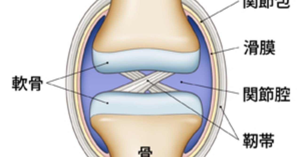 足首を回すとゴリゴリ音が鳴る Juncurry Note 足首を回すとゴリゴリ音が鳴る Juncurry Note