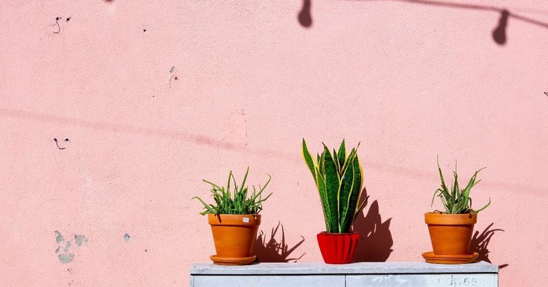 今を後悔しないように 今を生きるしかない まこてぃ Note