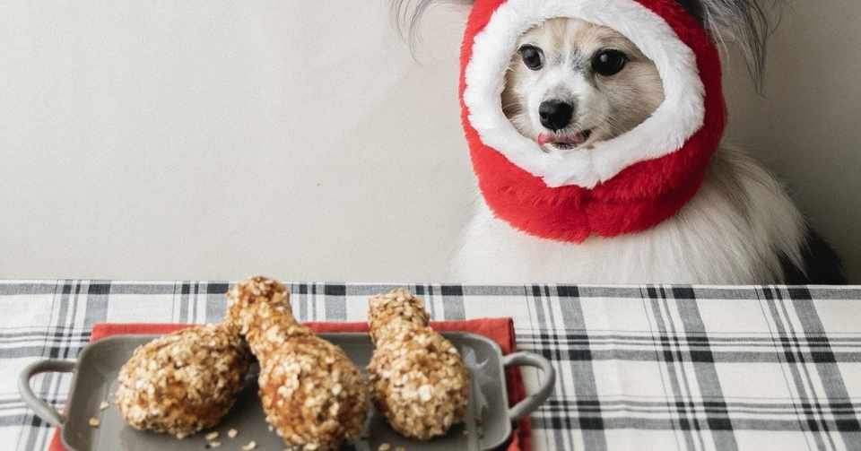 骨なし 揚げない 骨つき風ローストチキン 手作り犬おやつレシピ 単品購入 いちかわあやこ 犬ごはん先生 Note