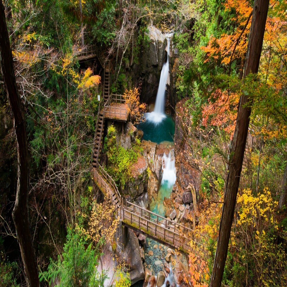 0195 秘境にある絶景。白龍が住まう「竜神の滝」（岐阜県）｜弥栄