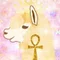 alpacca 