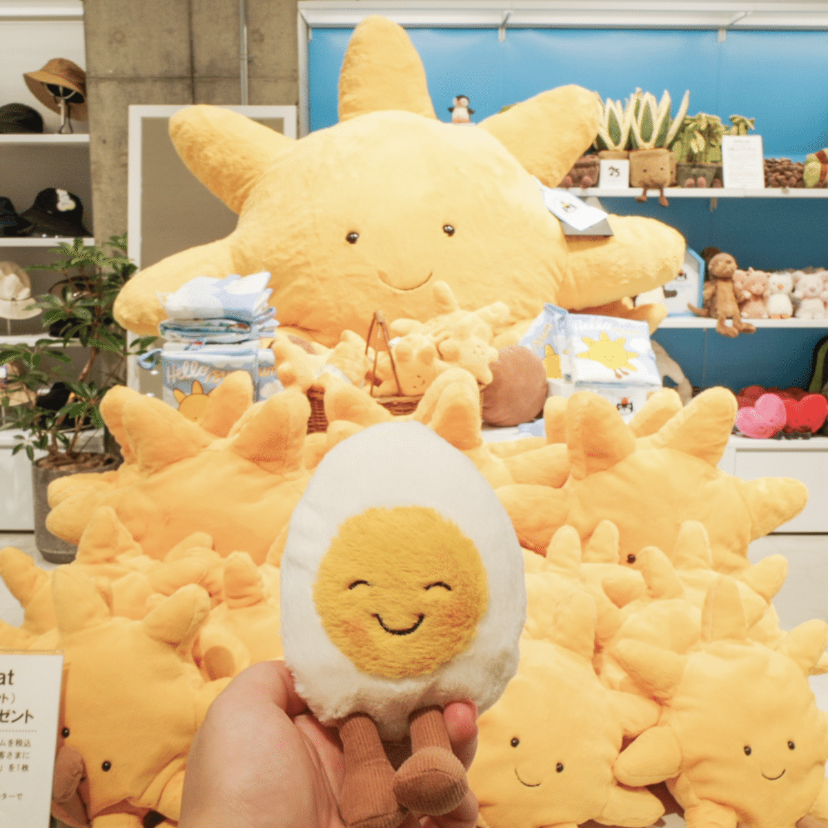 日本語訳で徹底紹介!我が家のジェリーキャットNo.1-10|ハチ(ユリ) 日本語訳で徹底紹介!我が家のジェリーキャットNo.1-10|ハチ(ユリ)