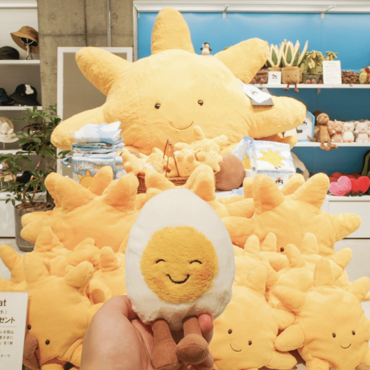 日本語訳で徹底紹介!我が家のジェリーキャットNo.1-10|ハチ(ユリ) 日本語訳で徹底紹介!我が家のジェリーキャットNo.1-10|ハチ(ユリ)