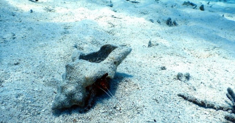 スピン報道 の新着タグ記事一覧 Note つくる つながる とどける