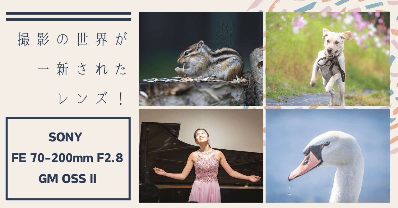 【フライドチキン】FE 70-200mm F2.8 GM OSS II FE-70-200mm-F2.8-GM-OSS-II-5.jpg