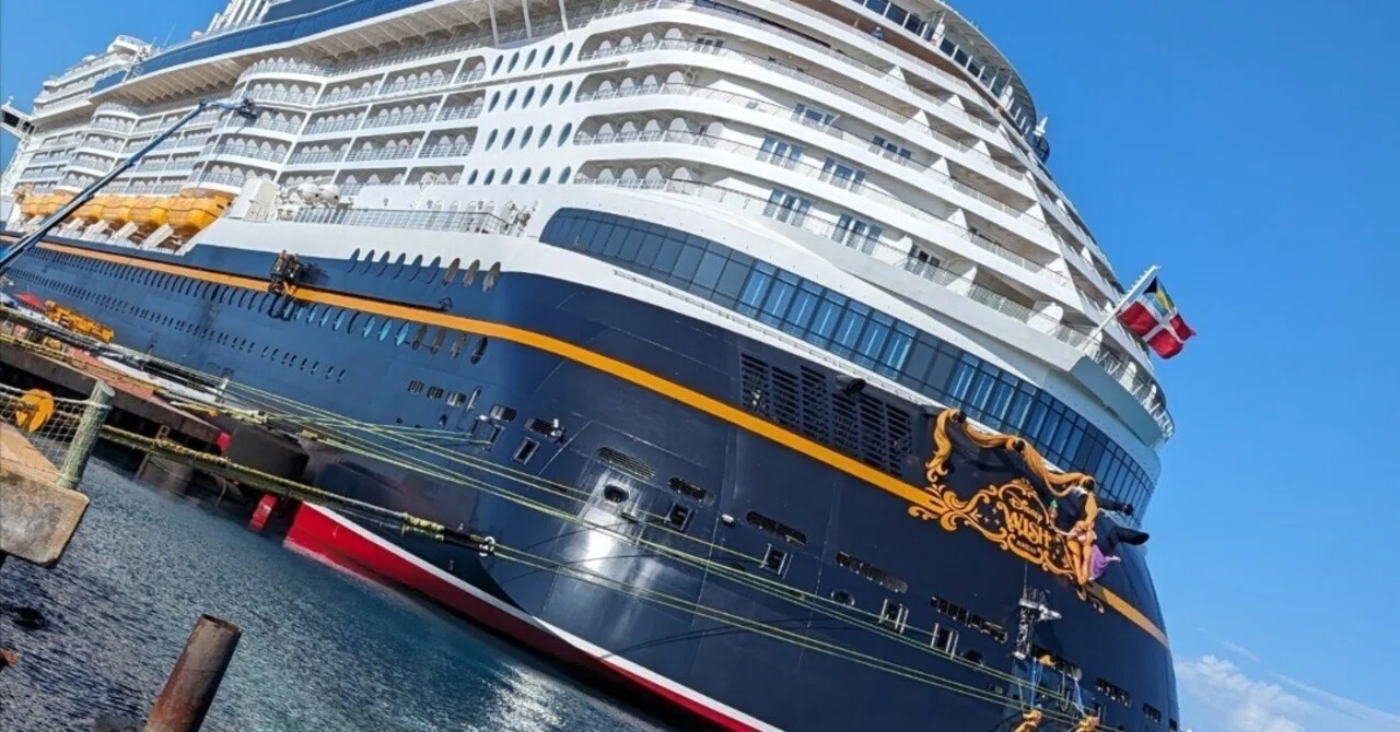 2020海外ディズニークルーズラインピンアーティストチョイスパスポートグーフィー 2020海外ディズニークルーズラインピンアーティストチョイスパスポート