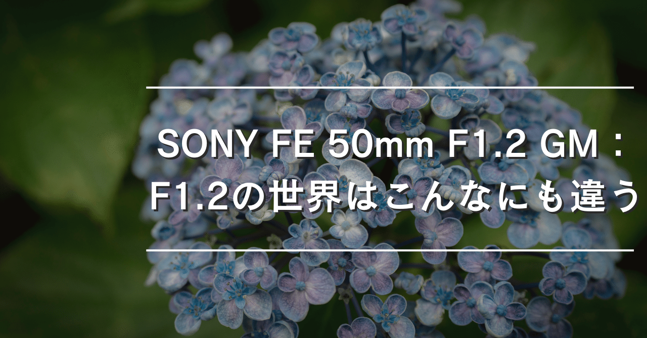 SONY FE 50mm F1.2 GMレビュー：F1.2の世界はこんなにも違う