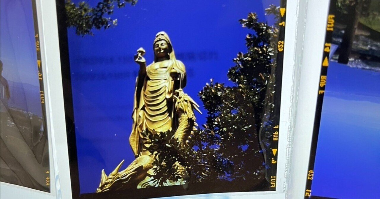 PROVIA100F】10年期限切れフィルムを使ってみる｜RURI