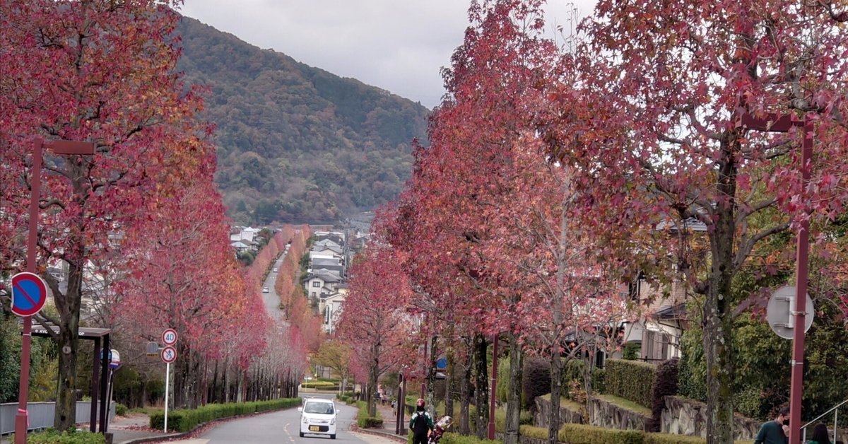 京都市 桂坂2022年11月14日【紅葉】｜レタス
