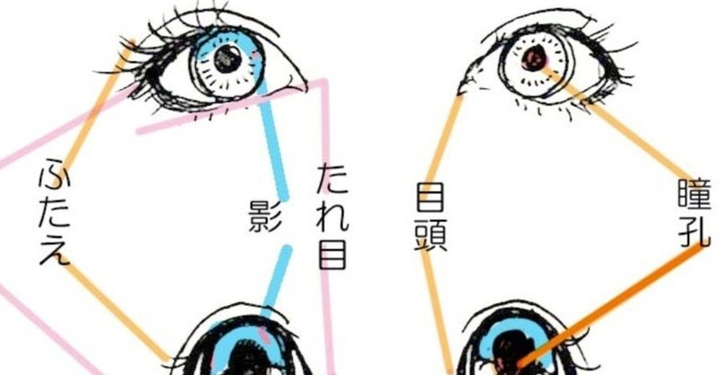 漫画の目とリアルの目を知っておくとキャラの魅力アップする つくえゆき らくがき講師 Note