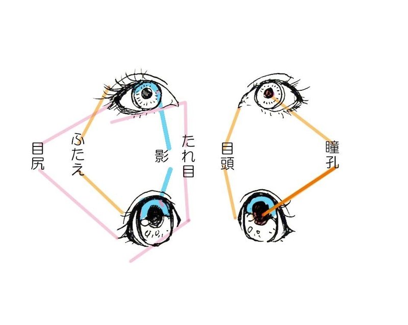 漫画の目とリアルの目を知っておくとキャラの魅力アップする つくえゆき らくがき講師 Note