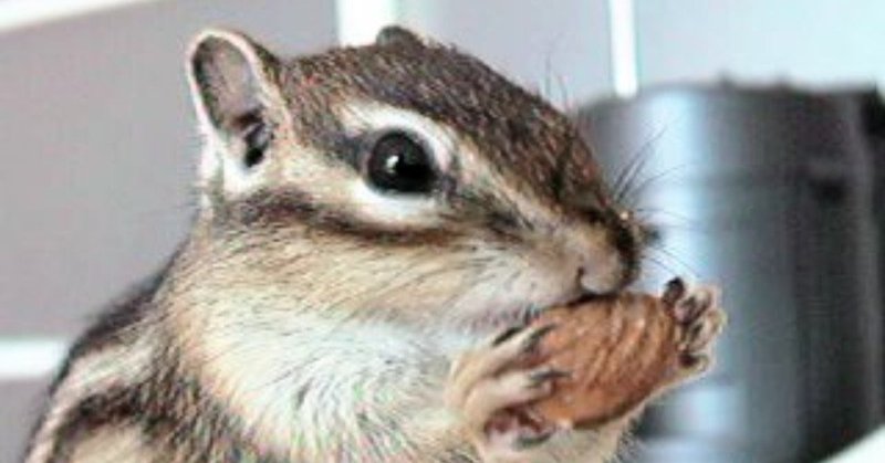 食物アレルギー 食べたら口の周りが赤くなった こども アレルギー医 Note