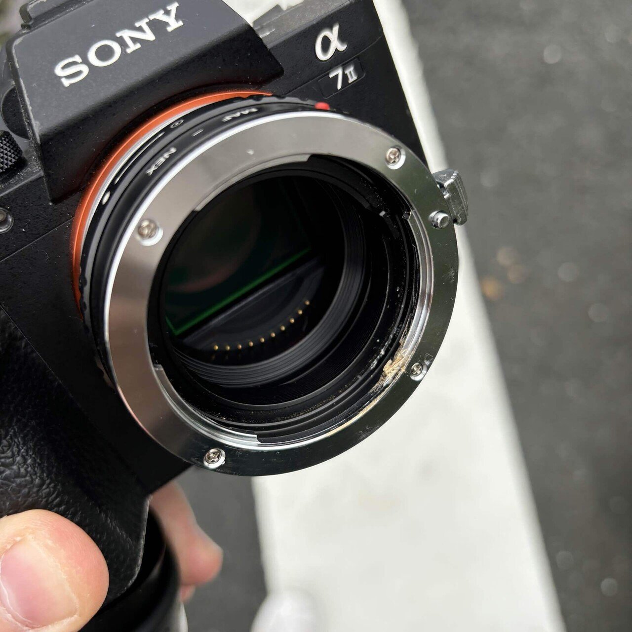 SONY α7ii × オールドレンズ|けいふ SONY α7ii × オールドレンズ|けいふ