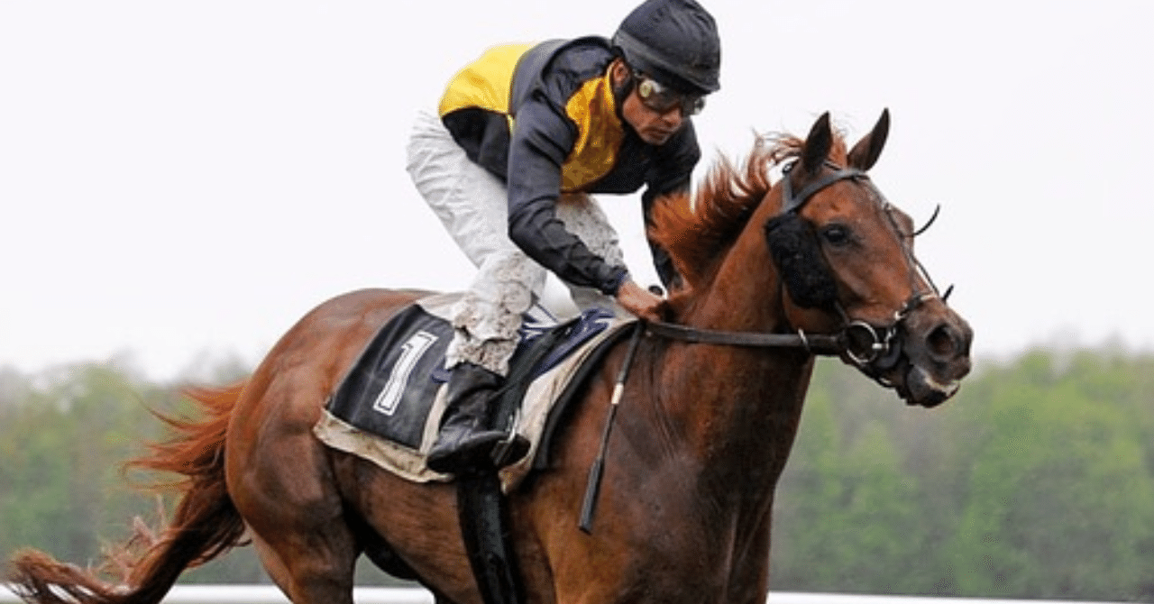 馬体の見方 なんとなくから脱却した者勝ち 一口馬主マスターb Note