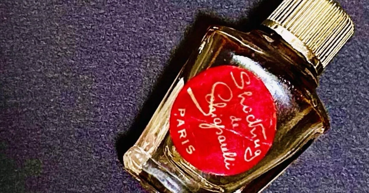 ショッキング 11月13日〜365日の香水｜adams fragrance family
