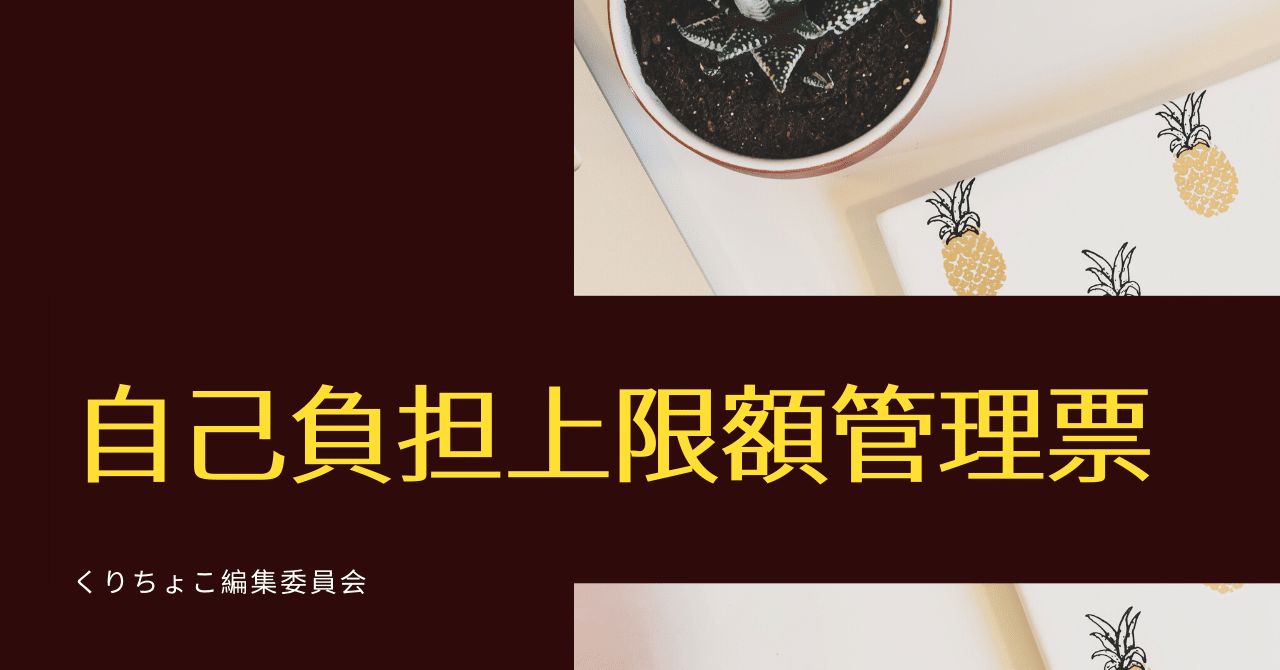 自己負担上限額管理票 くりちょこ編集委員会 Note