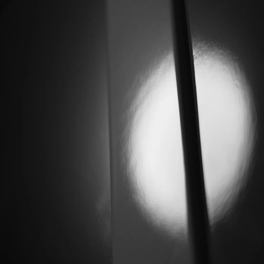 注文したのはPENTAXの一眼レフ｜Tarciel