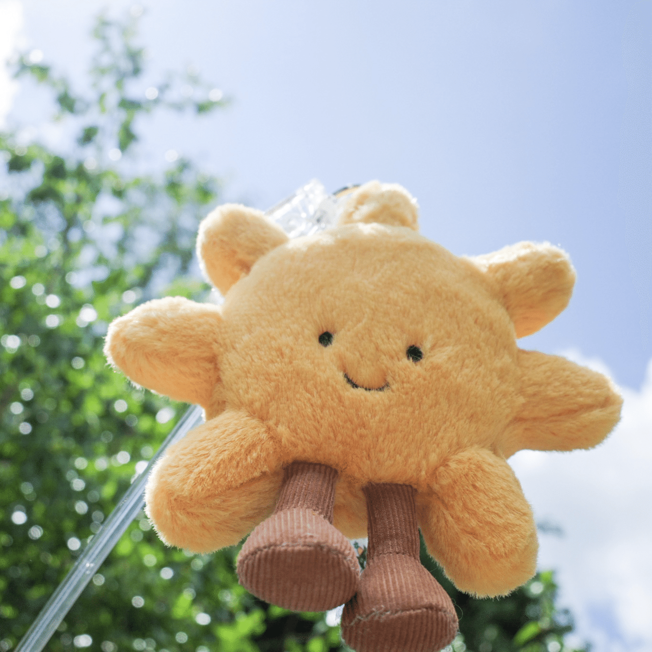 日本語訳で徹底紹介！我が家のジェリーキャットNo.11-20｜ハチ(ユリ)