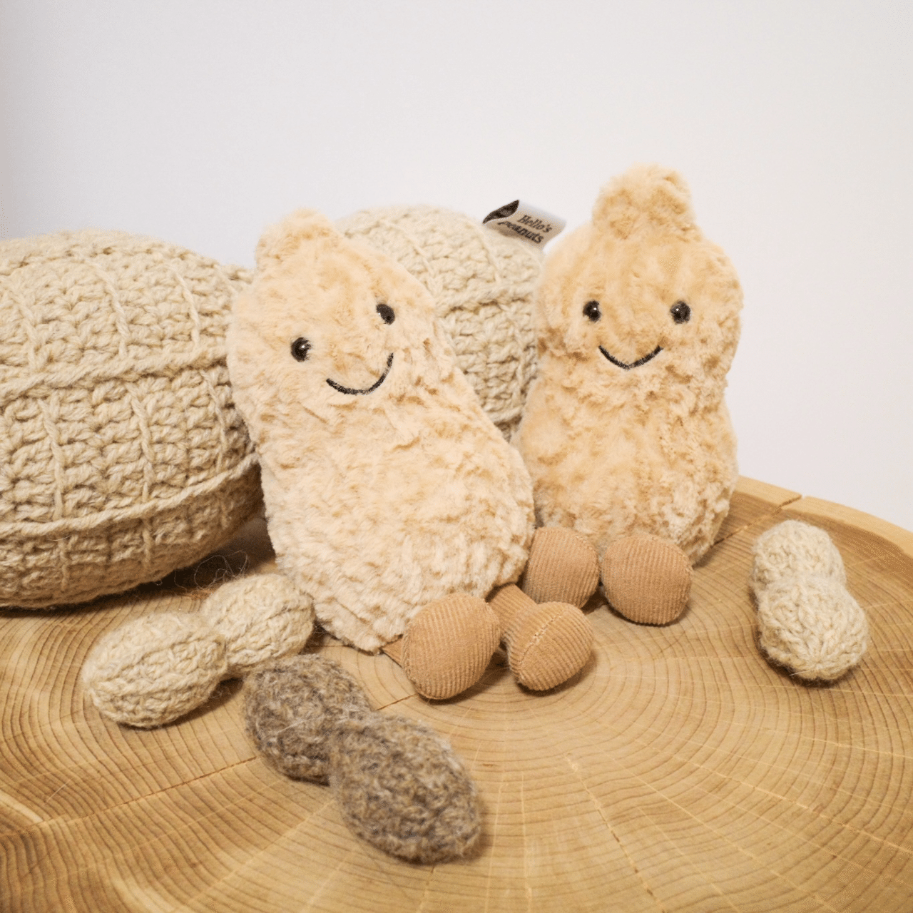 日本語訳で徹底紹介！我が家のジェリーキャットNo.11-20｜ハチ(ユリ)