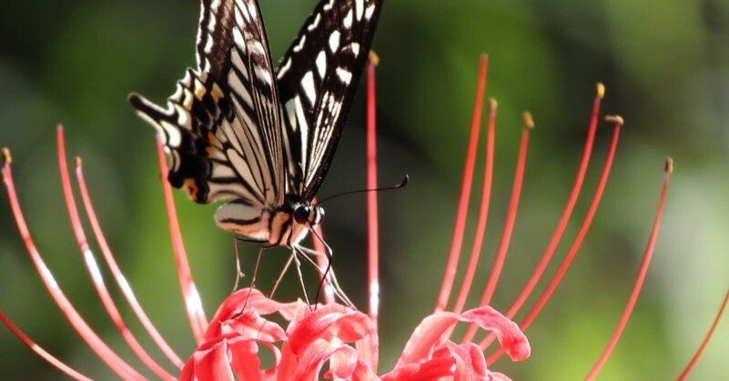 b505e25f76e260b6ab8c7ae6458681