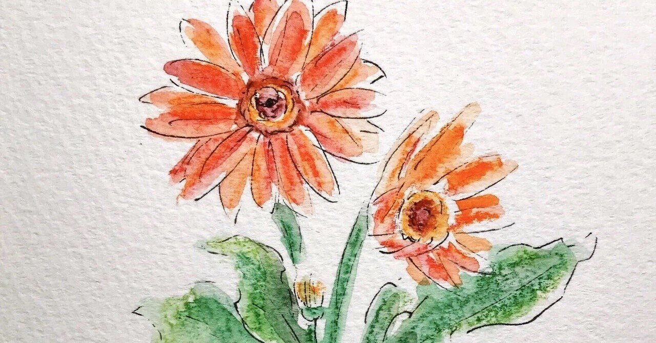 ガーベラ｜えいみ