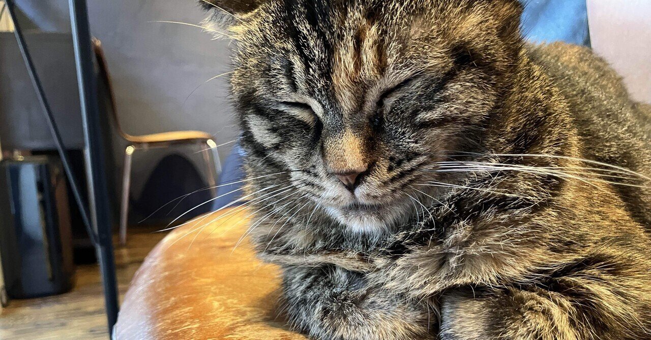 おさんぽの延長みたいな旅がしたい！！【ぶらり日暮里駅編