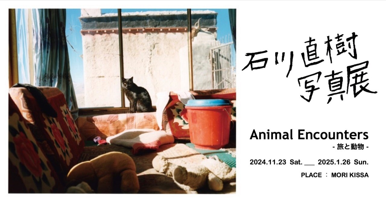 石川直樹 写真展 Animal Encounters ｜mori-kissa