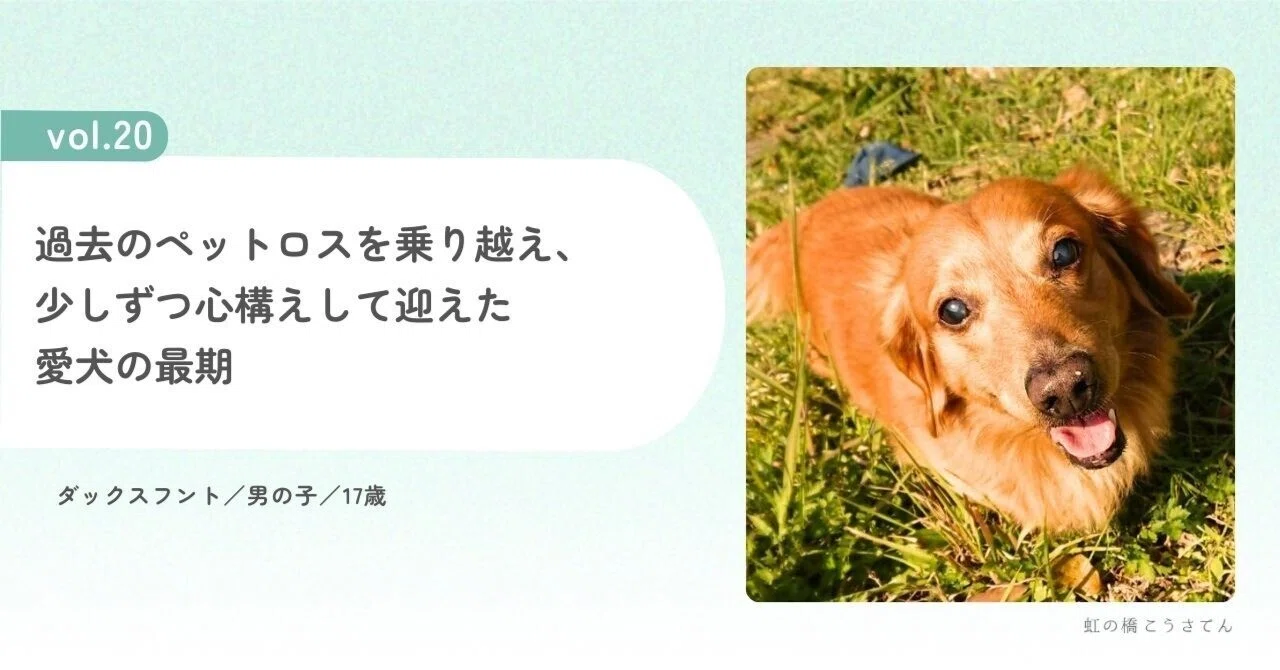 ペット ロス 乗り越え 方