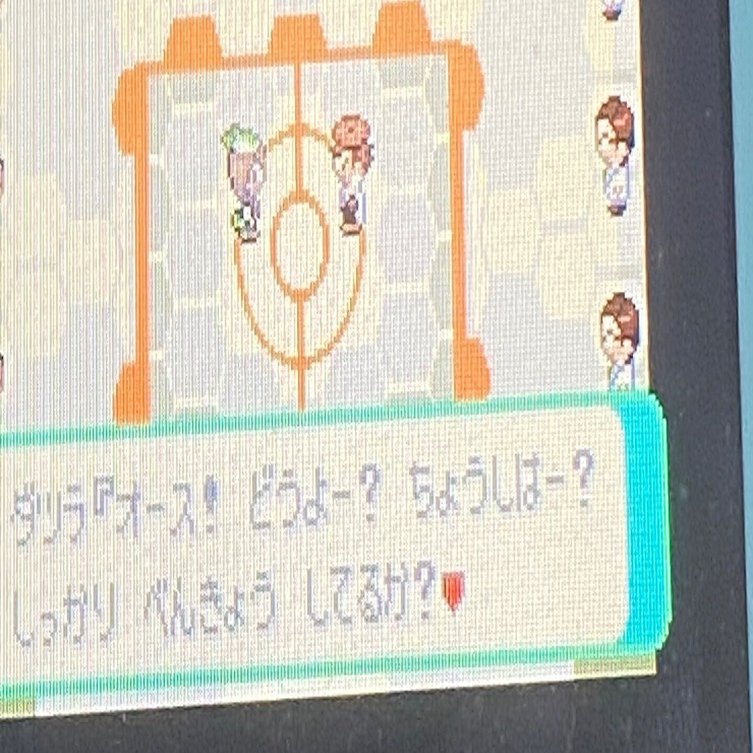 エメラルドバトルファクトリーを攻略してみた｜卵