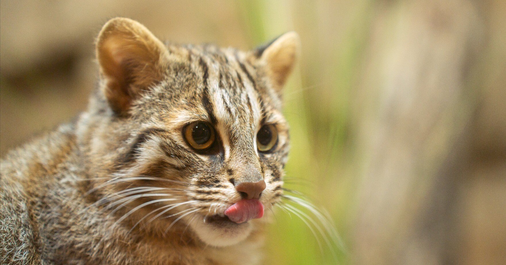 8e4522097f5f289cfd3288d857f15f