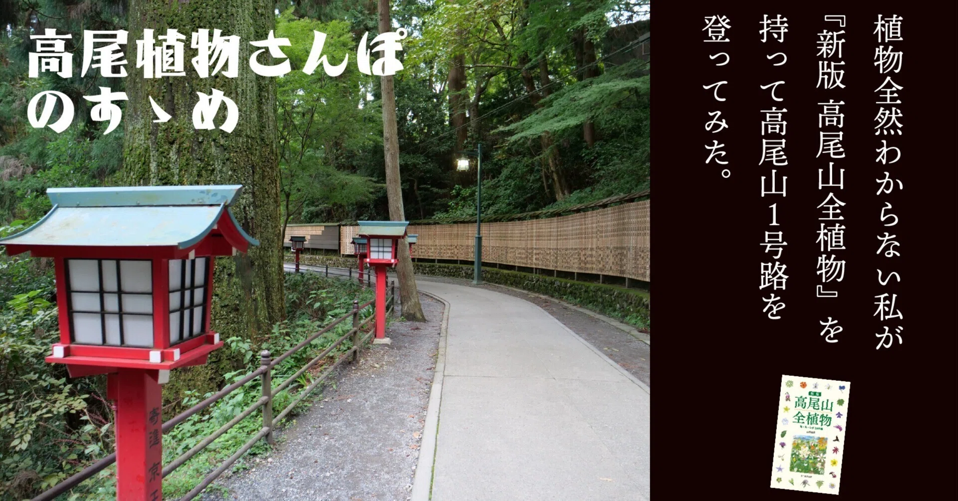 植物初心者が『新版 高尾山全植物』を持って高尾山1号路を登ってみた