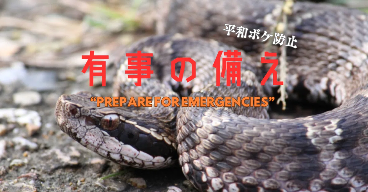「日本で最も危険な毒ヘビ『マムシ』:知らないと危ない!その生態と対策」|ミッチー隊長