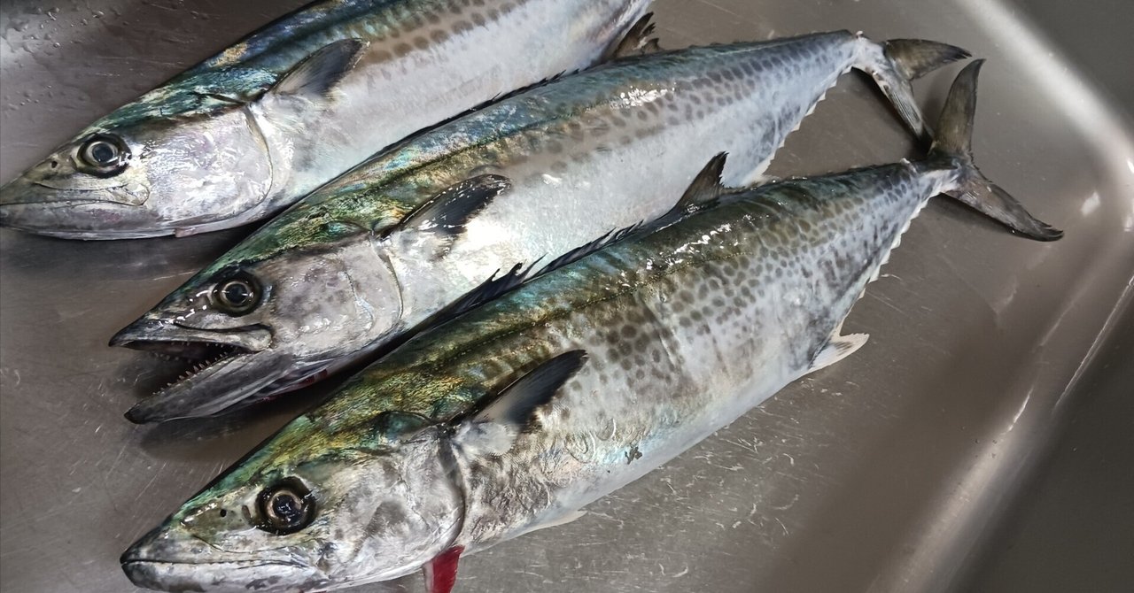 骨董　魚市場の競り札　レア　襤褸　ボロ　魚籠　魚釣　貴重　明治　大正 maxresdefault.jpg