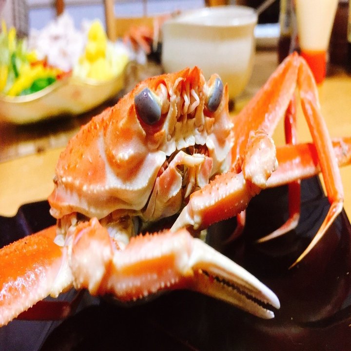 解禁にまつわるエトセトラ 能登半島にカニ食べ行こう 半島同盟 Peninsula Union Note