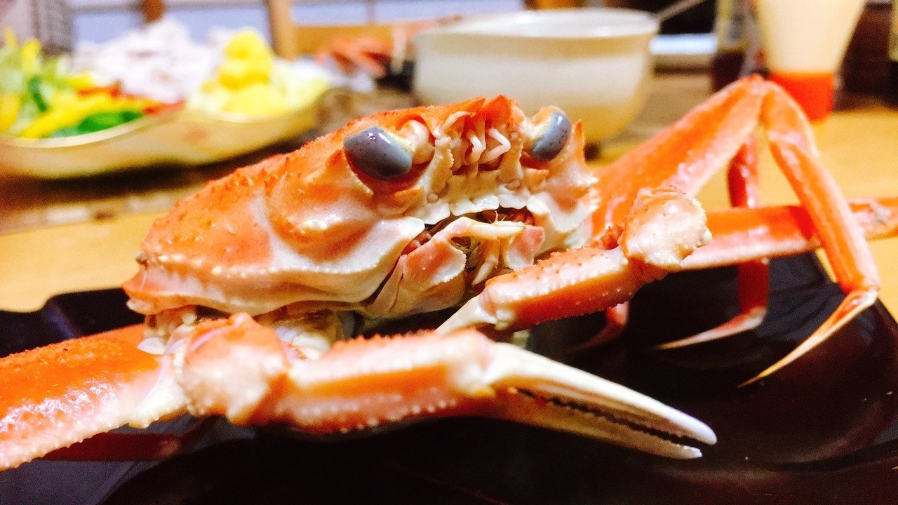 解禁にまつわるエトセトラ 能登半島にカニ食べ行こう 半島同盟 Peninsula Union Note 解禁にまつわるエトセトラ 能登半島にカニ食べ行こう 半島同盟 Peninsula Union Note