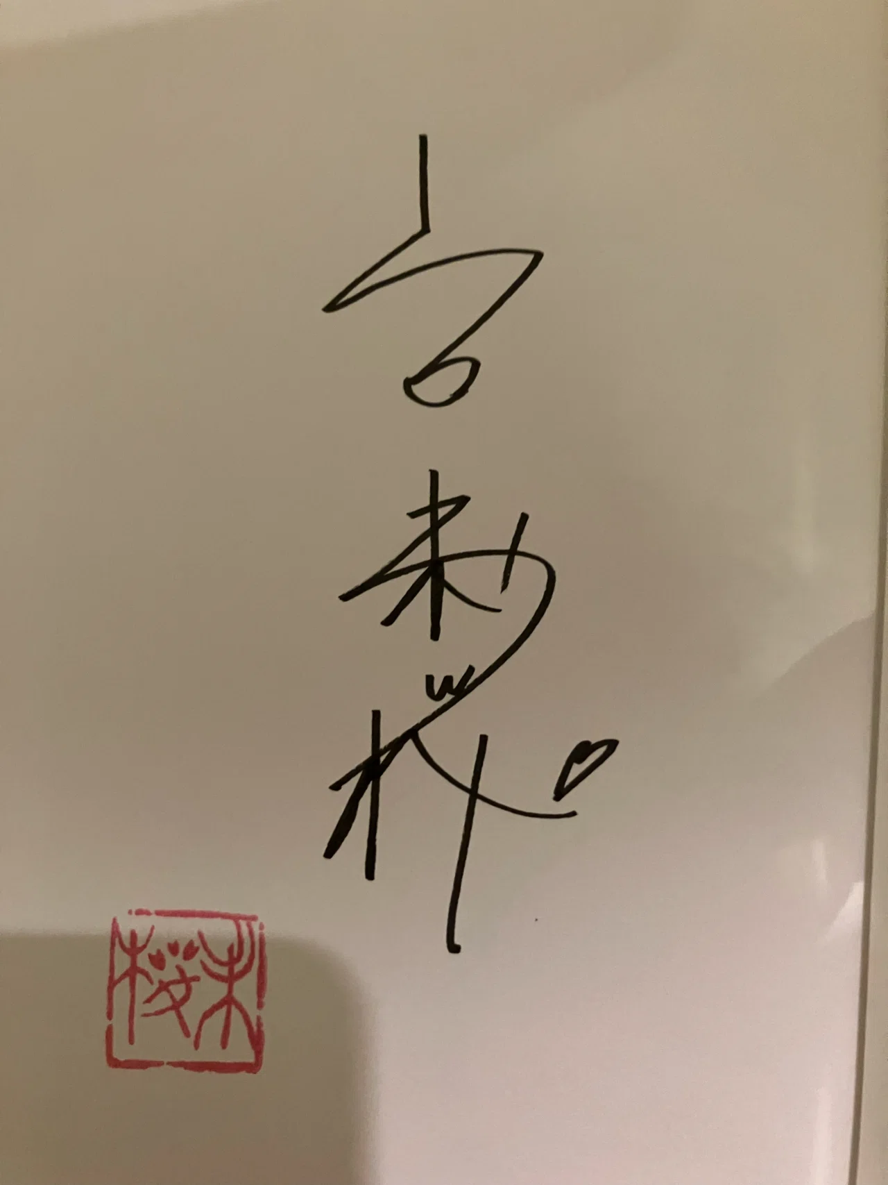 読了本 山口未桜『禁忌の子』｜宮沢薫(みがわりの人)