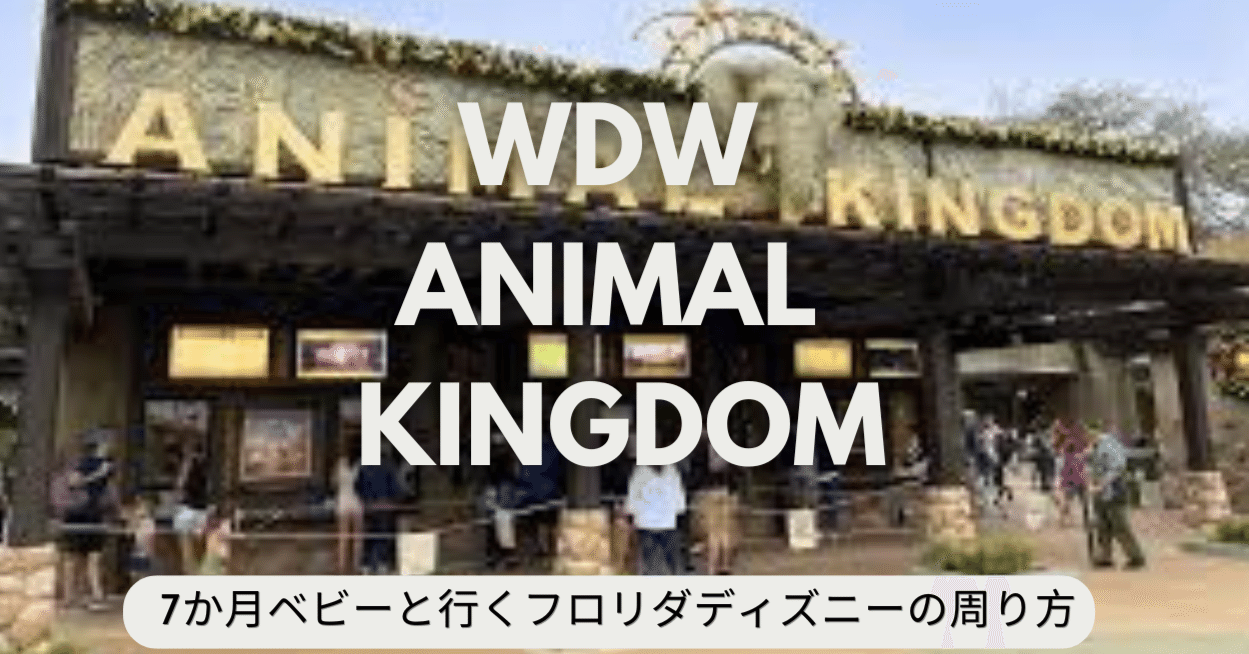 7か月ベビーと行くWDW フロリダディズニー『アニマル・キングダム