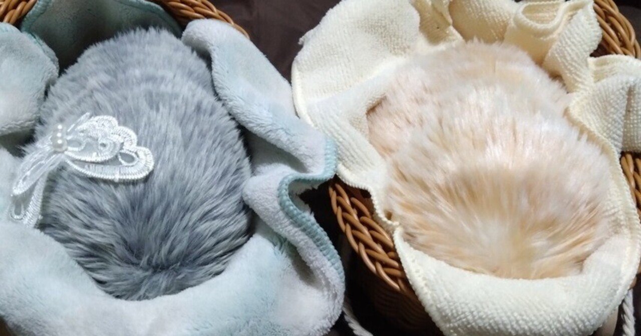 クラファン版、カシオ版 Moflinの特徴（簡易まとめ）｜過月